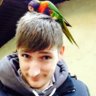 Shane.Hall