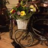 sallytheshopper