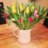 Loulou79