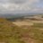 Whitewebbs