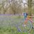 pedalin