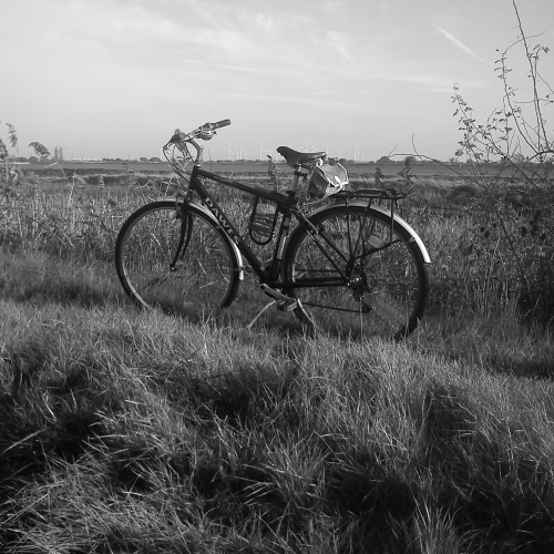 Bobcat's bike