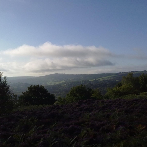 Stanton Moor