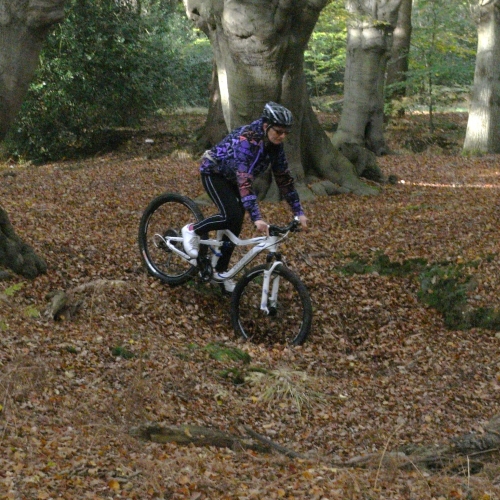 Bike pics