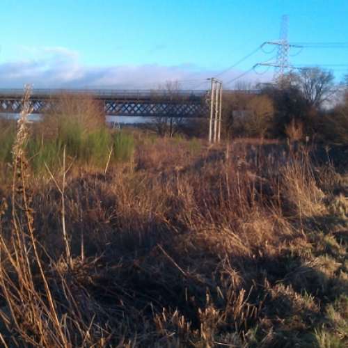Bridges of Glasgow