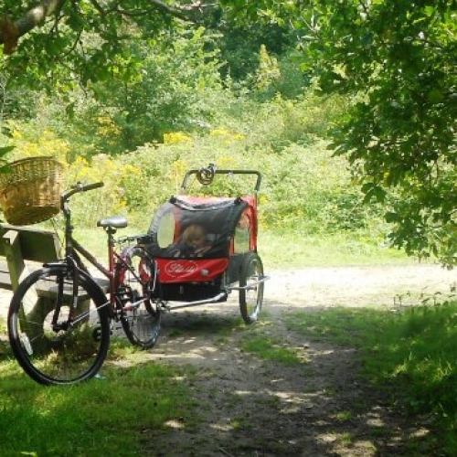 "Large" and other wheeled objects - sometimes with free snot!