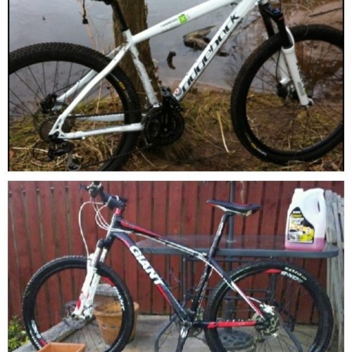 Stolen Bikes