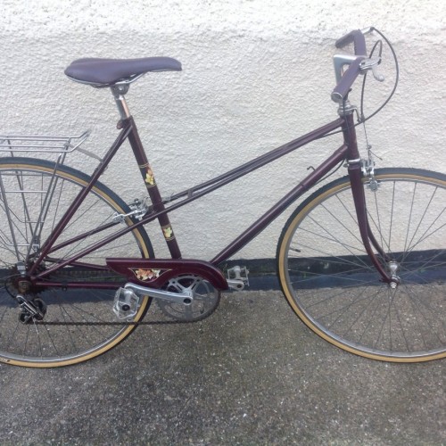 Tony's Steeds