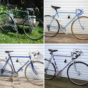 My CYCLES