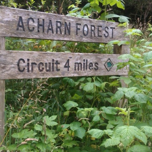 CC Ecosse Lochs and Glens 2015 day two