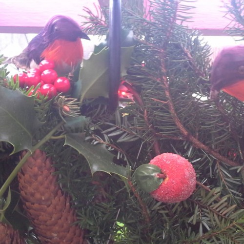 christmas wreath
