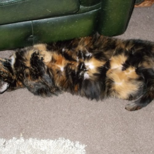 Kizzy