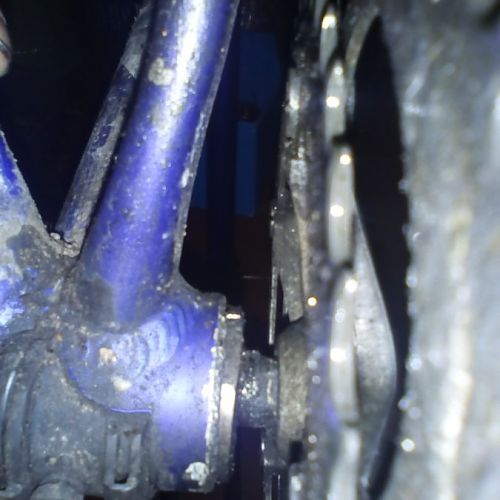 Seized BB fixed cup