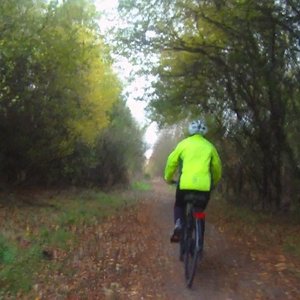 17/11/2017 1 Boldon Colliery, Tilesheds Nature Reserve