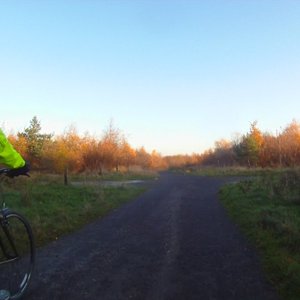 Boldon - Colliery Wood