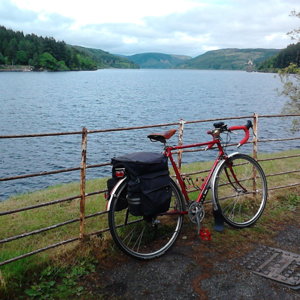 Dawes at Vyrnwy