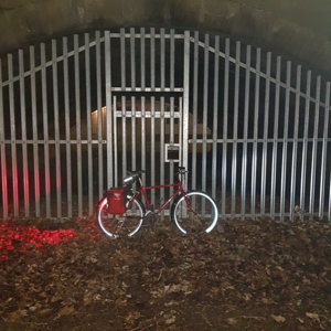 Gates under a bridge