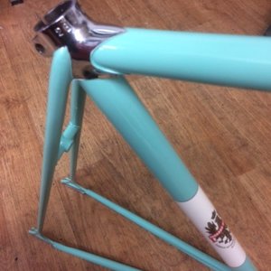 Bianchi Folgore frame (2)