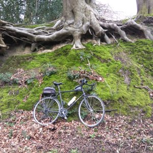 Sunken Lane