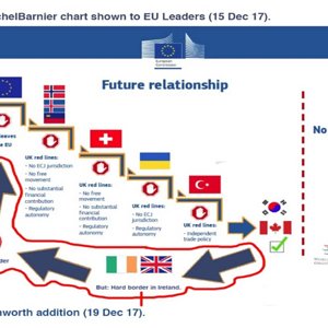 Barnier brexit options