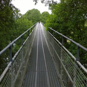 long shakey bridge