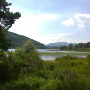 loch pityoulish