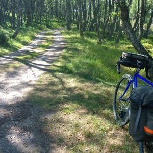 track to Sluggan bridge