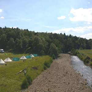 scouts from usa