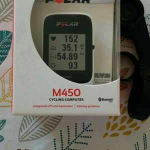 Polar M450