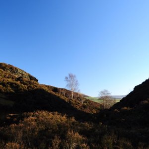 Tintwistle Quarry