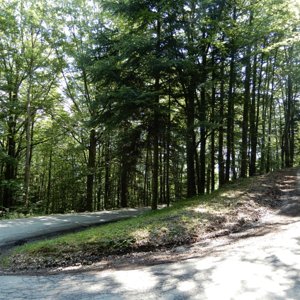 One of many hairpin bends above Villargondran