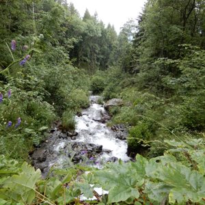 Cascade (lower) partway up Saint-Michel-de-Maurienne to Col de Beau Plan climb