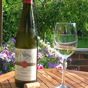 Hidden Bench Riesling 220702.JPG