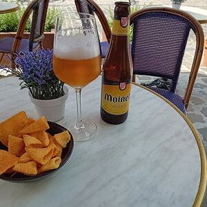250530 Moinette.jpg