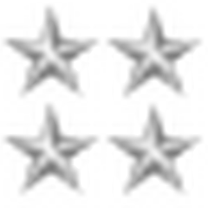 8silverstars.png