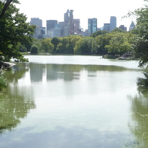 06 N Y central park.jpg