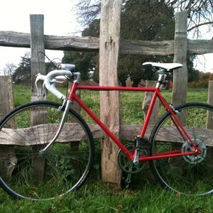 Raleigh SS at Charlecote #2.jpg