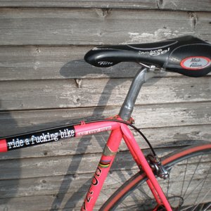 colnago cropped.jpg