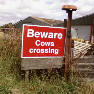 Unusual road Sign.jpeg