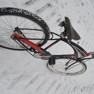 Snow Schwinn.jpg