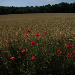 German bike tour 2008 049.jpg