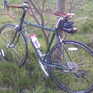 Surly Pacer_Mitcham Common.jpg