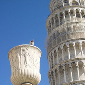 pisa.jpg