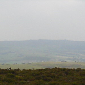 DSC00348.JPG