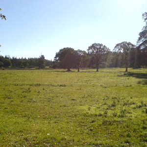 DSC00541.JPG