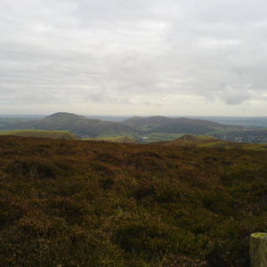 DSC00623.JPG