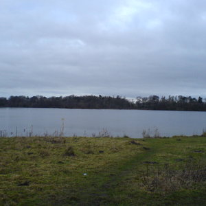 DSC00944.JPG
