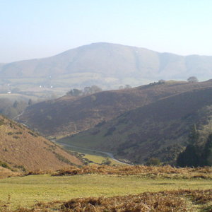 DSC01239.JPG