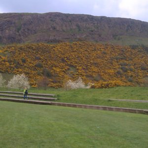 Arthur's seat.jpg