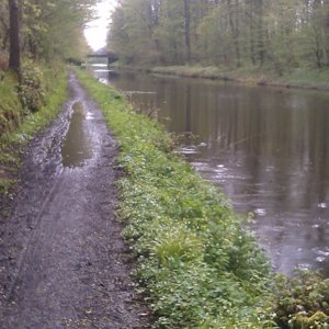Muddy canal (640x399).jpg